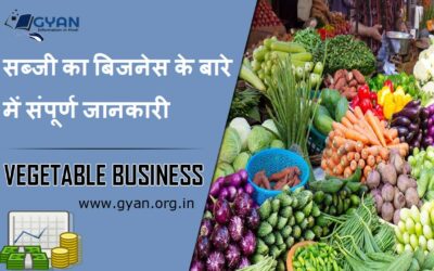 सब्जी का बिजनेस के बारे में संपूर्ण जानकारी | Vegetable Business Complete information Hindi