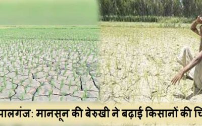 गोपालगंज: मानसून की बेरुखी ने बढ़ाई किसानों की चिता, एक सप्ताह में नहीं हुई बारिश तो किसानो की बढी परेशानी