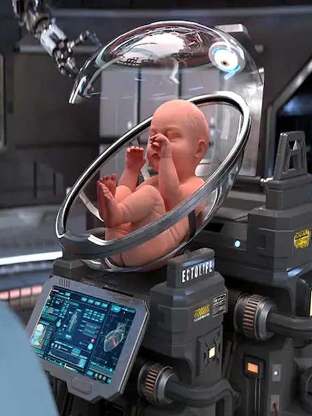 महिलाओं को मिलेगी गर्भधारण से छुट्टी, Birth Pods में पैदा होंगे बच्चे