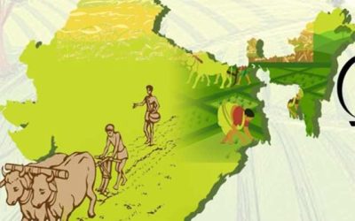 भारत में 23 दिसंबर को ही क्यों मनाया जाता है किसान दिवस? जानें वजह