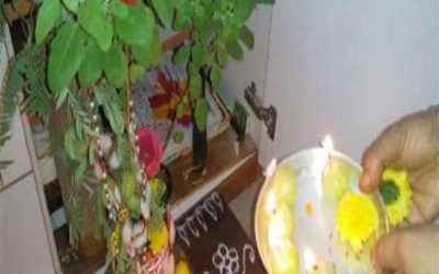 भारत में तुलसी क्यों मनाया जाता है महत्व और पूजा विधि ?