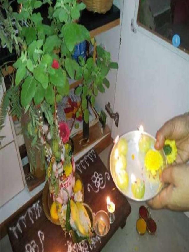 भारत में तुलसी क्यों मनाया जाता है महत्व और पूजा विधि ?
