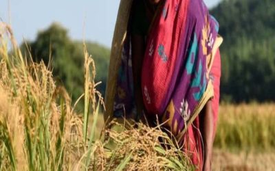 गाँव की महिलाओं में के दिनचर्या के बारे पूरी जानकारी ?