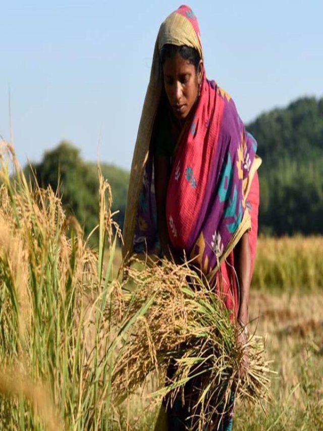 गाँव की महिलाओं में के दिनचर्या के बारे पूरी जानकारी ?