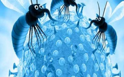 Zika Virus से बचा करे रहे, स्वास्थ्य विभाग अलर्ट