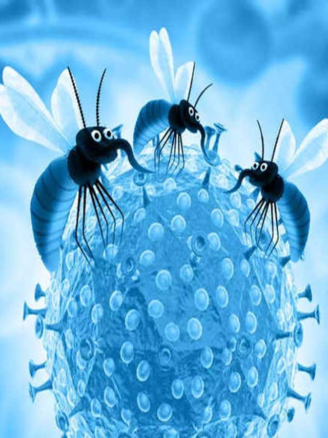 Zika Virus से बचा करे रहे, स्वास्थ्य विभाग अलर्ट