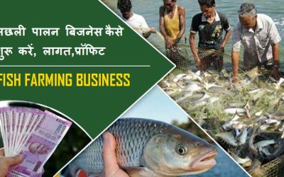 मछली पालन बिजनेस कैसे शुरू करें, लागत, प्रॉफिट। How to start Best fish farming Business in Hindi