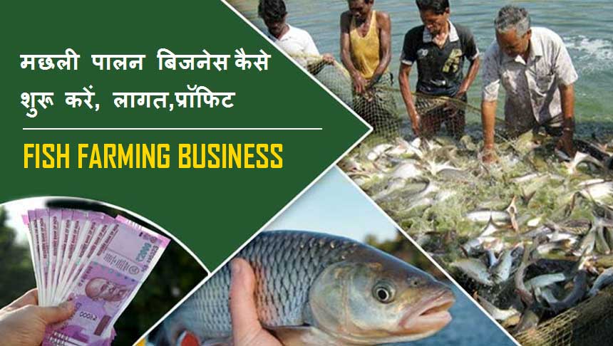 मछली पालन बिजनेस कैसे शुरू करें, लागत, प्रॉफिट। How to start Best fish farming Business in Hindi